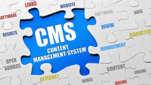 Content Management System Mumbai